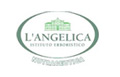 Angelica