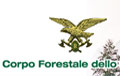 Comune di Lucca