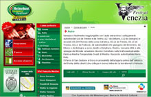 Pagina iniziale del sito di Comune di Venezia per Heineken Jammin' Festival