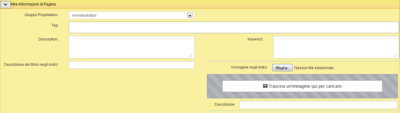 Il pannello "Altre informazioni di pagina"